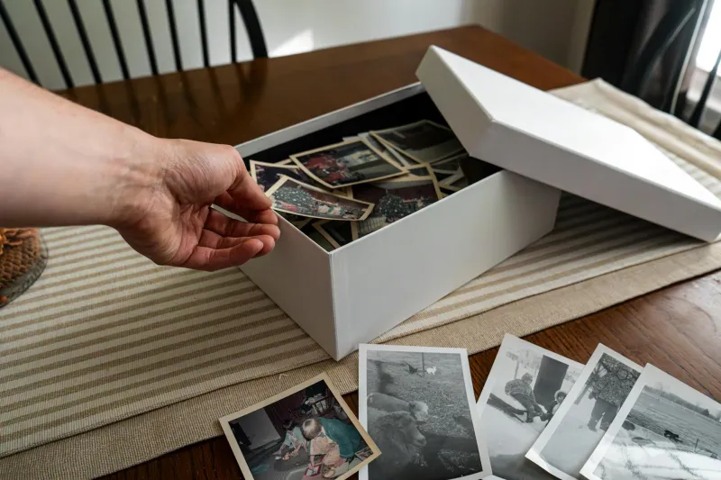 When Cardboard Dreams Became Million-Dollar Investments (And Then Worthless Paper Again)